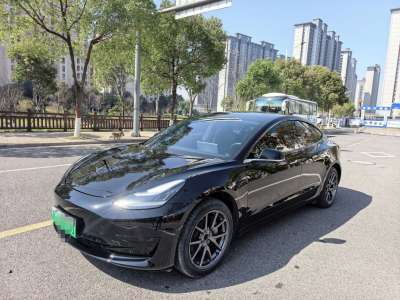 2020年8月 特斯拉 Model 3 標(biāo)準(zhǔn)續(xù)航后驅(qū)升級(jí)版圖片