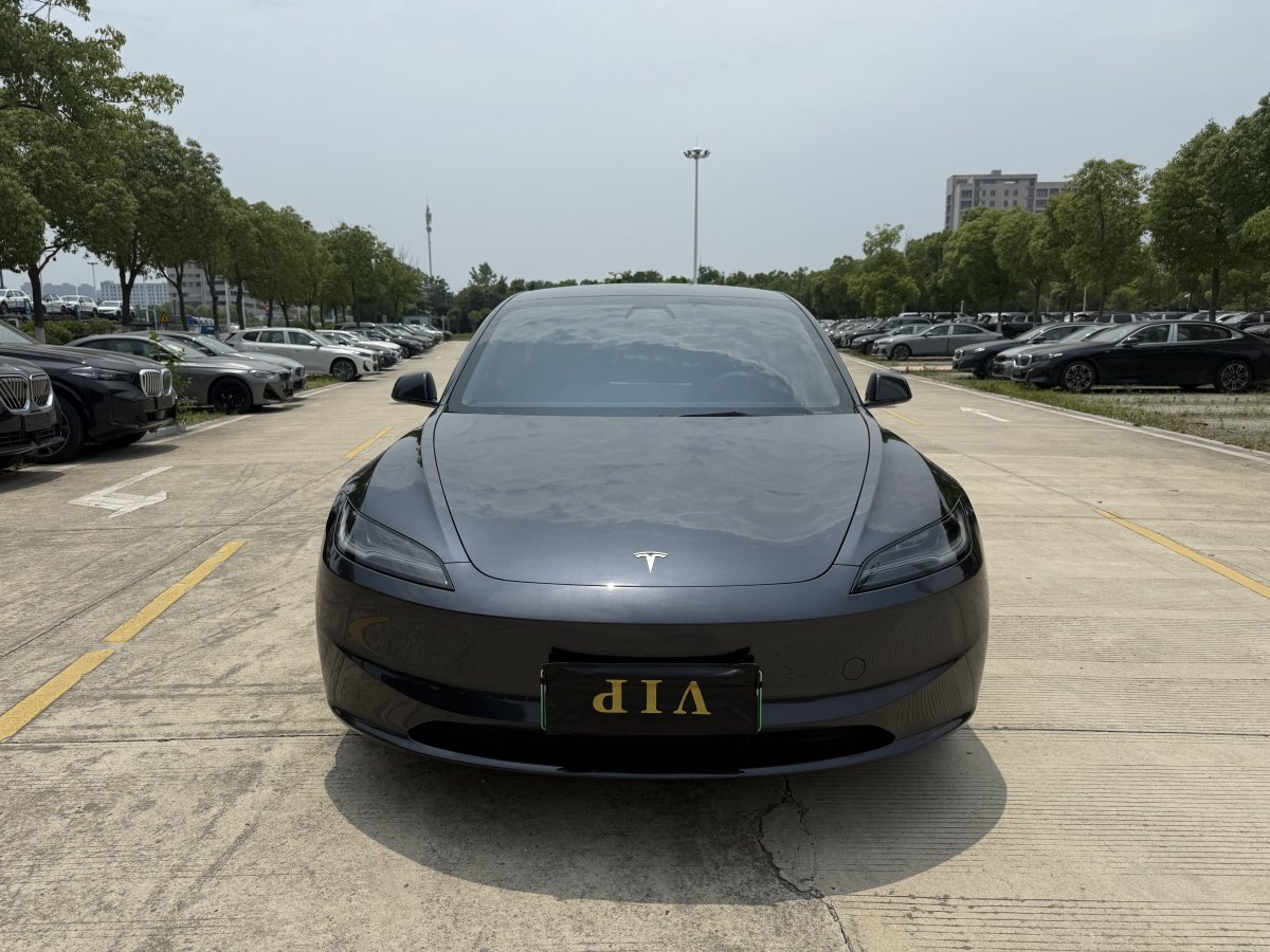 2024年6月特斯拉 Model 3  2019款 長(zhǎng)續(xù)航全輪驅(qū)動(dòng)版