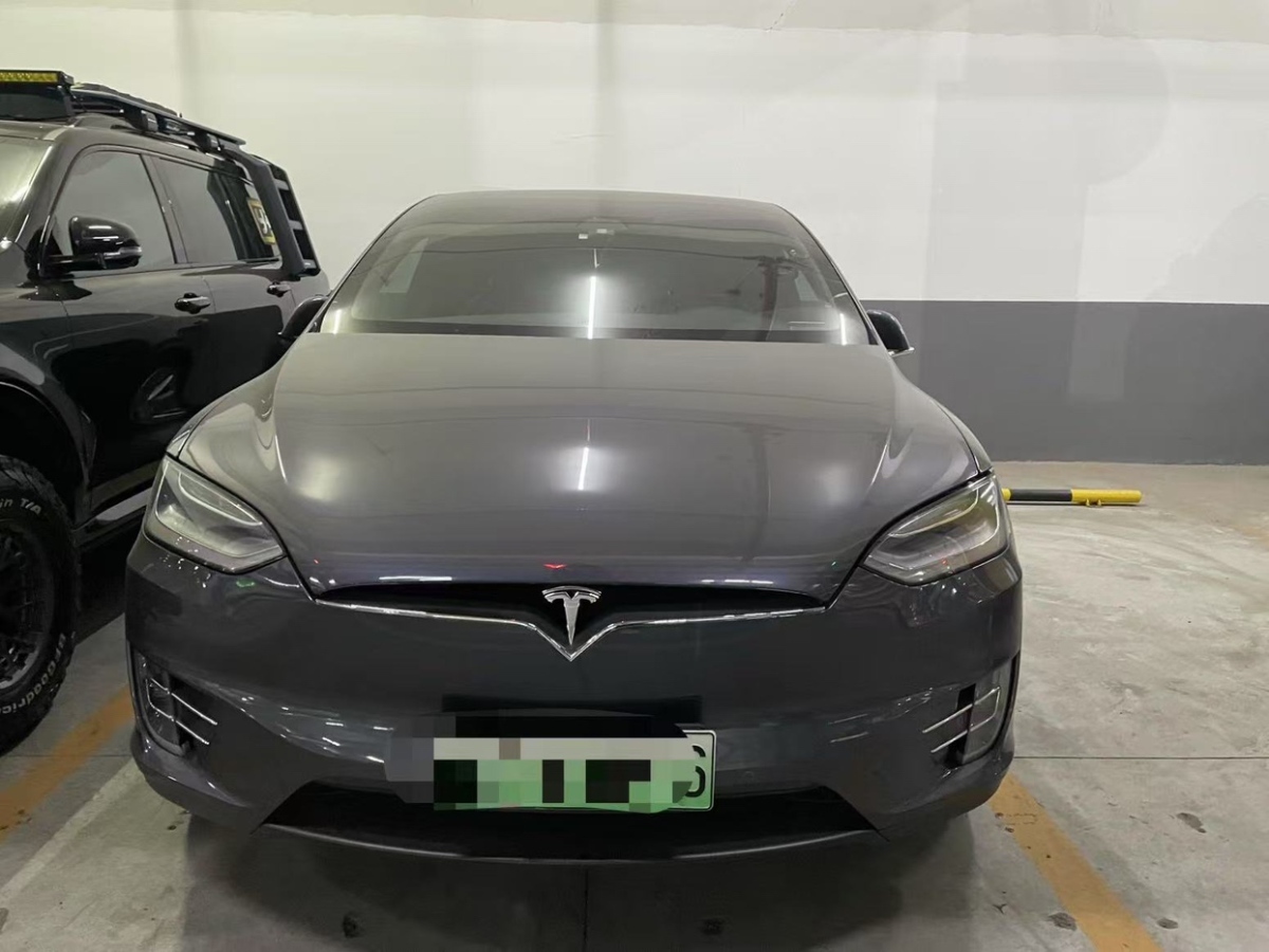 特斯拉 Model X  2019款 長續(xù)航版圖片