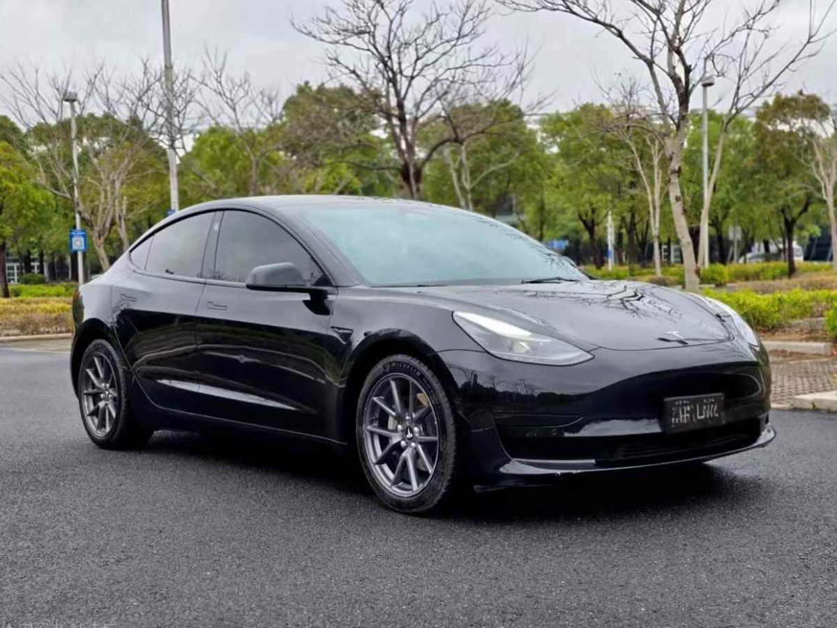 特斯拉 Model Y  2022款 Performance高性能全輪驅動版圖片