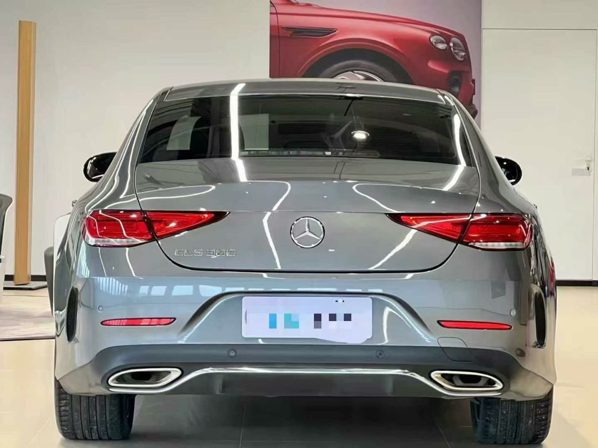 奔馳 奔馳CLS級  2022款 CLS 260圖片