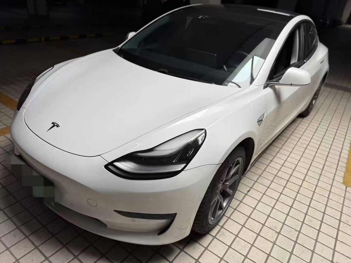 特斯拉 Model X  2020款 Performance 高性能版圖片