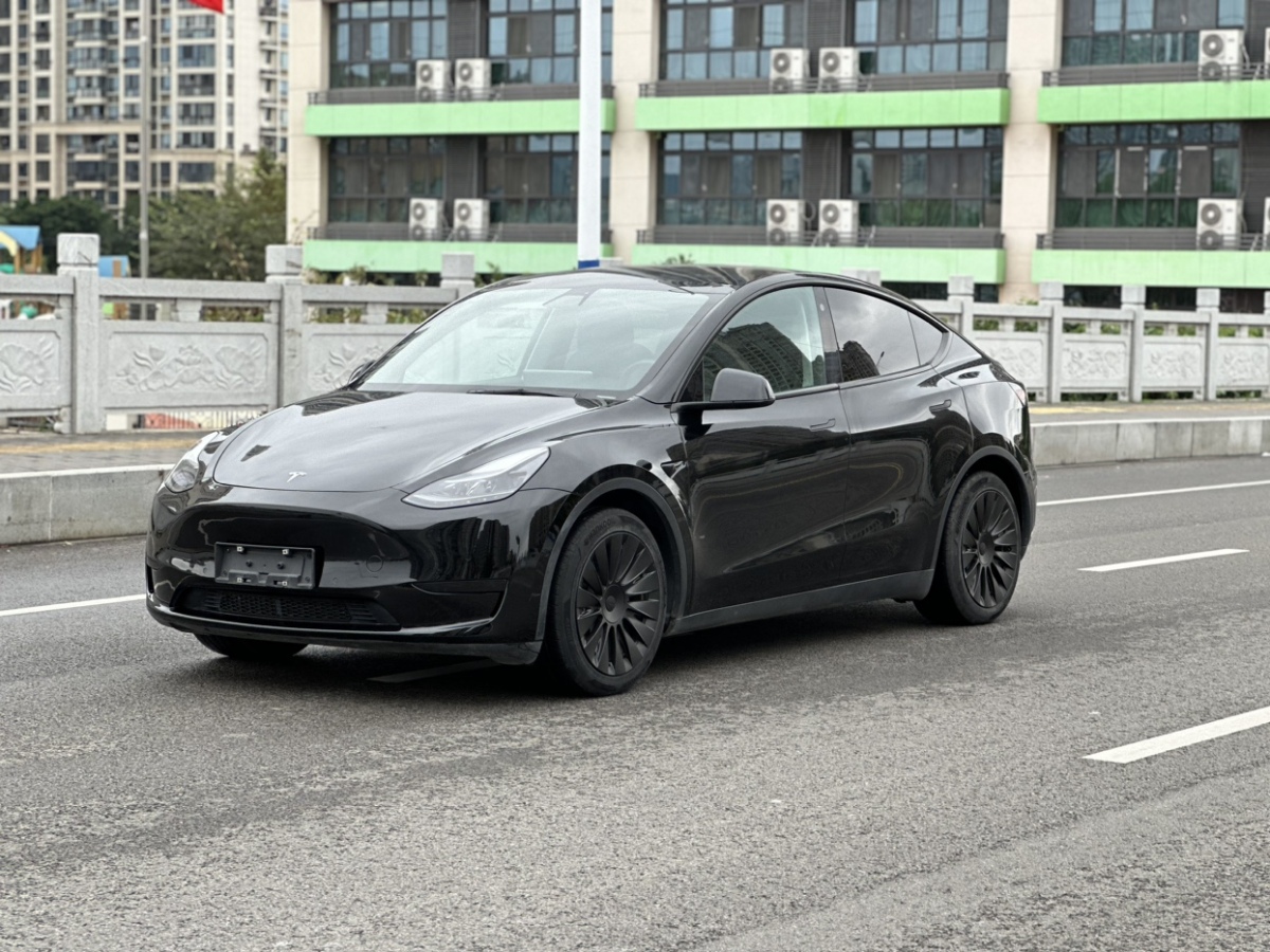 特斯拉 Model Y  2021款 標(biāo)準(zhǔn)續(xù)航后驅(qū)升級(jí)版 3D6圖片