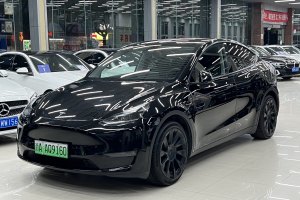 Model Y 特斯拉 標(biāo)準(zhǔn)續(xù)航后驅(qū)版