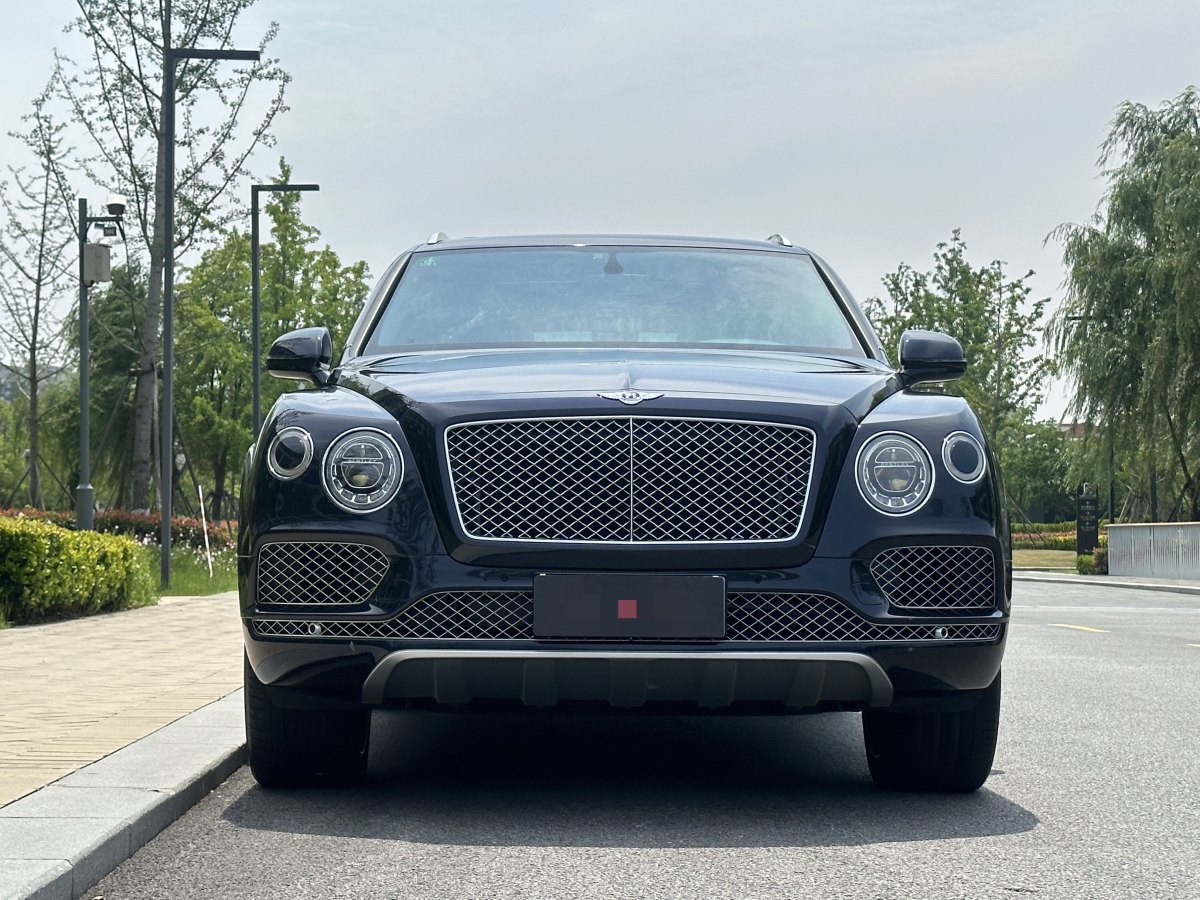 賓利 添越  2024款 4.0T V8圖片