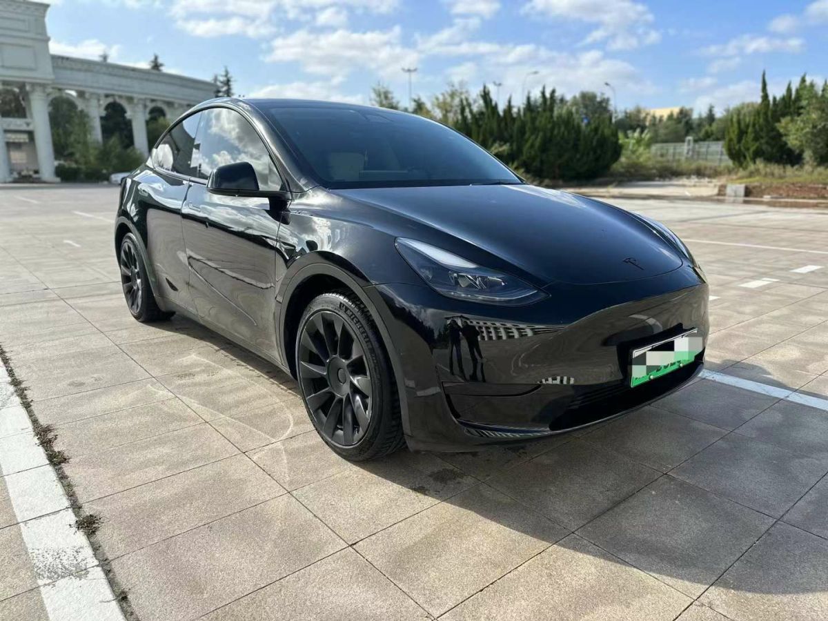 特斯拉 Model Y  2022款 Performance高性能全輪驅動版圖片