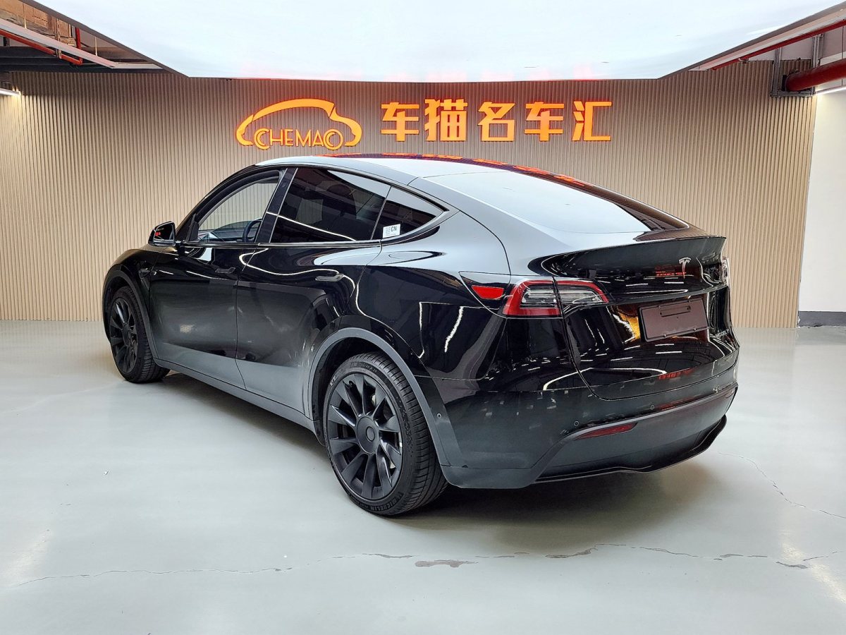 特斯拉 Model Y  2021款 改款 Performance高性能全輪驅(qū)動版圖片