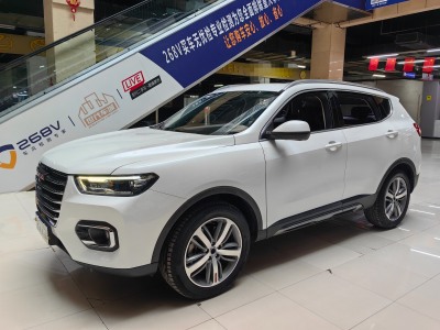 2018年12月 哈弗 H6 换代 红标 2.0T 自动豪华型图片