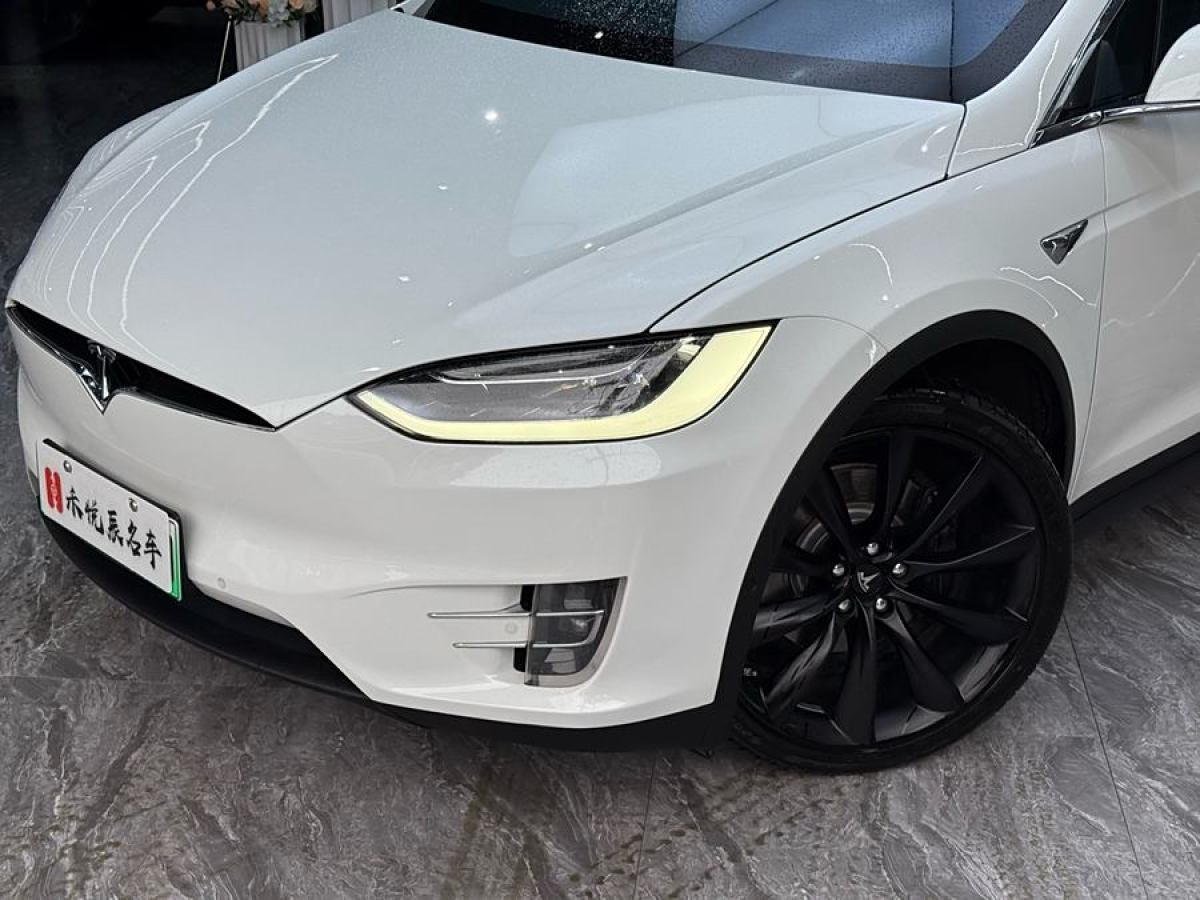 2019年1月特斯拉 Model X  2017款 Model X 100D 長續(xù)航版