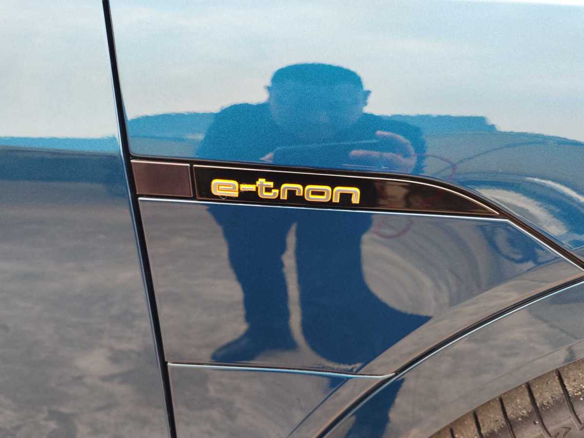 奥迪 奥迪e-tron  2019款 55 quattro 专享型图片
