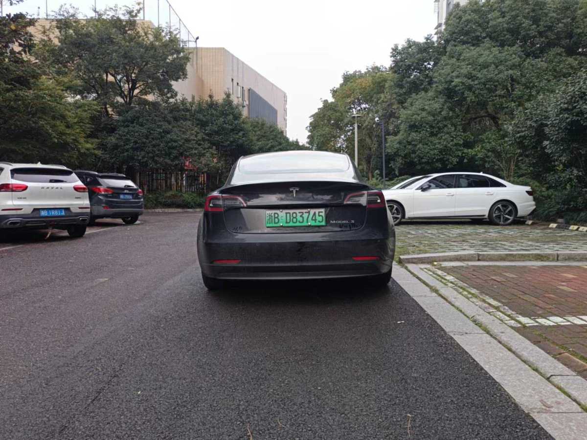 特斯拉 Model 3  2019款 標(biāo)準(zhǔn)續(xù)航后驅(qū)升級版圖片