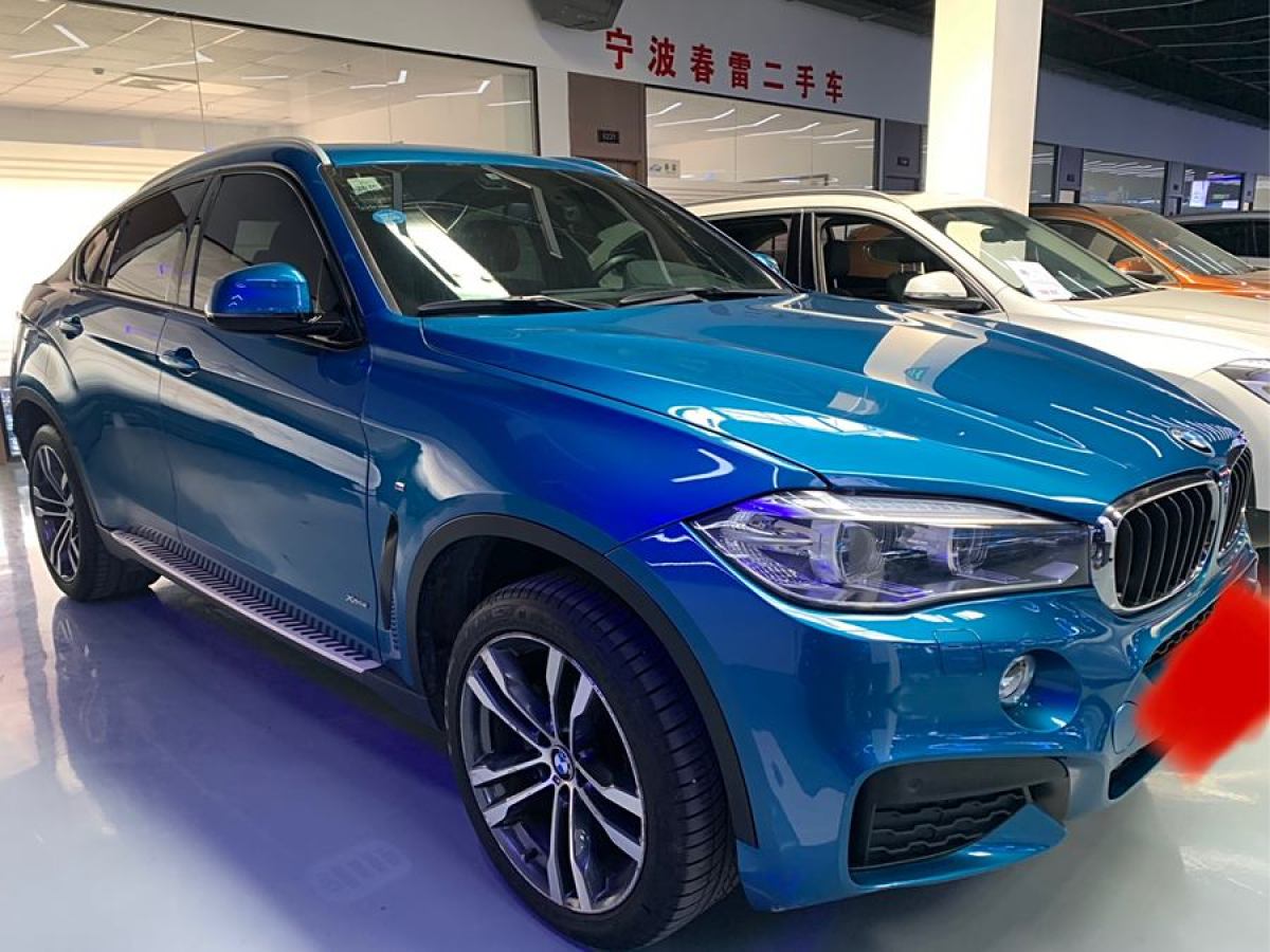 寶馬 寶馬X6  2018款 xDrive35i 領(lǐng)先型圖片