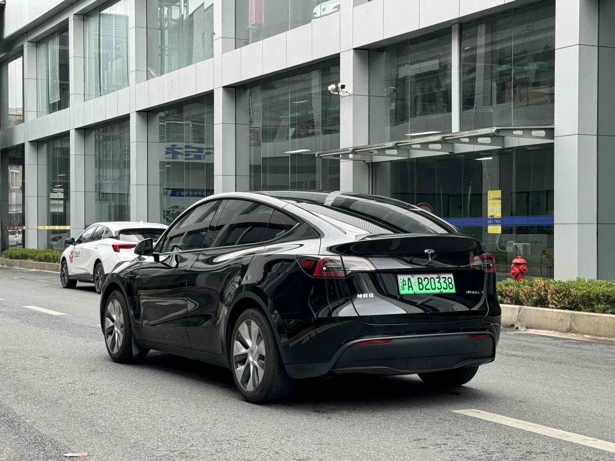 特斯拉 Model 3  2020款 改款 長(zhǎng)續(xù)航后輪驅(qū)動(dòng)版圖片