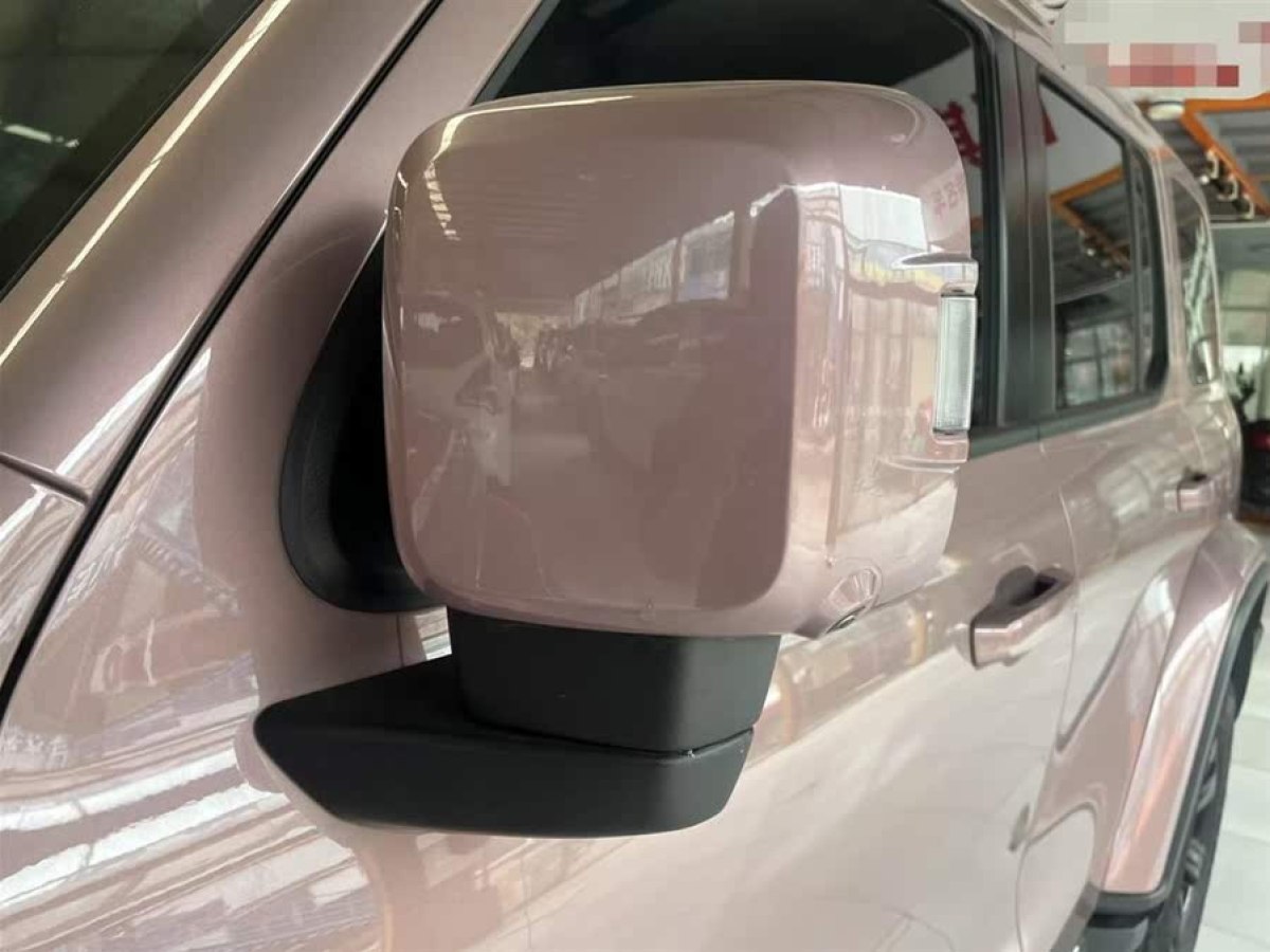 坦克 坦克300  2021款 城市版 2.0T 很有型圖片