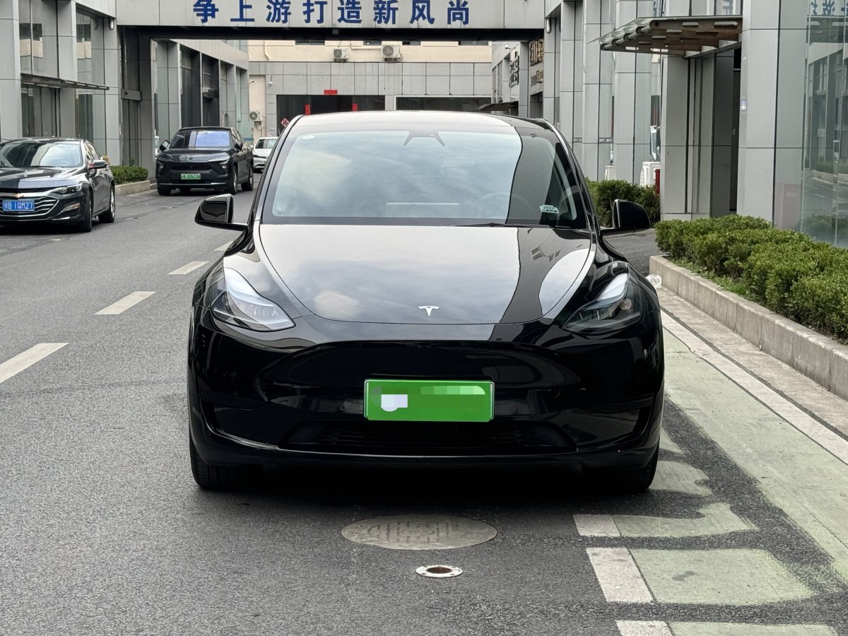 特斯拉 Model 3  2020款 改款 長續(xù)航后輪驅(qū)動(dòng)版圖片