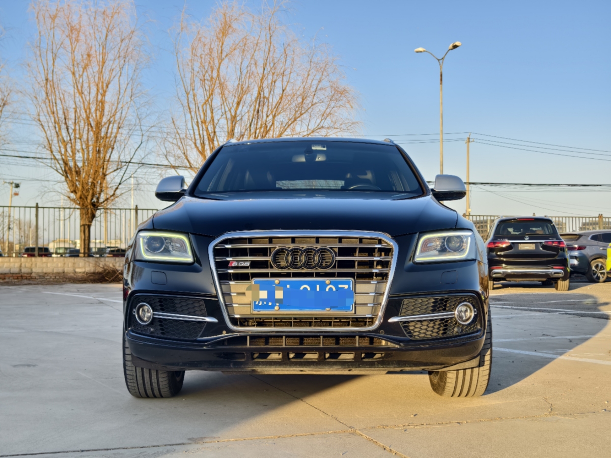 奧迪 奧迪SQ5  2017款 SQ5 3.0 TFSI quattro圖片