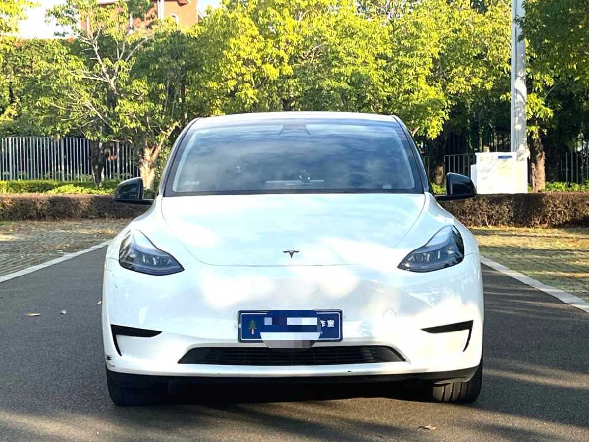 特斯拉 Model 3  2020款 改款 長續(xù)航后輪驅(qū)動版圖片