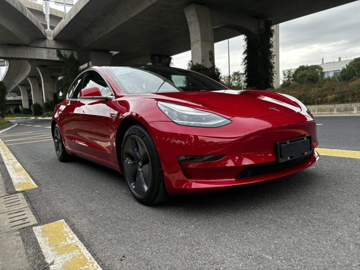 特斯拉 Model 3  2019款 長續(xù)航后驅(qū)版圖片