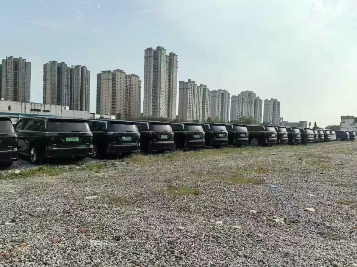 嵐圖 夢(mèng)想家  2024款 EV 超長(zhǎng)續(xù)航卓越版圖片