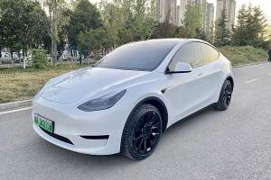 Model 3 特斯拉 改款 长续航后轮驱动版