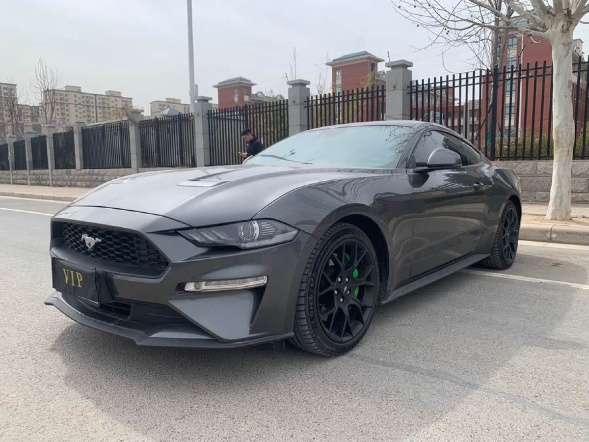 福特 Mustang  2020款 2.3L EcoBoost圖片