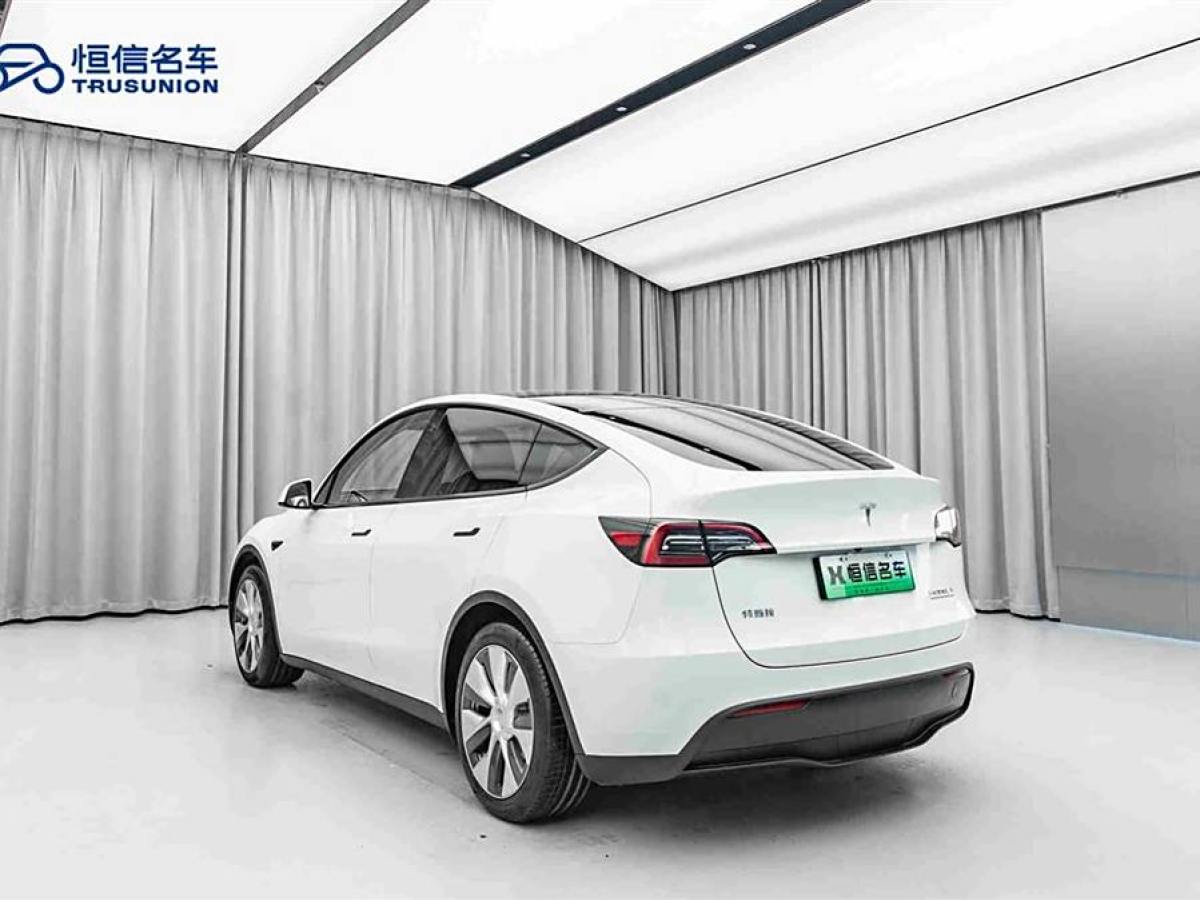 特斯拉 Model 3  2022款 后輪驅(qū)動(dòng)版圖片