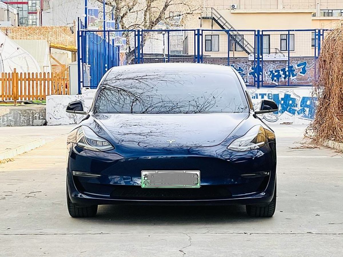 特斯拉 Model 3  2019款 長續(xù)航全輪驅(qū)動版圖片