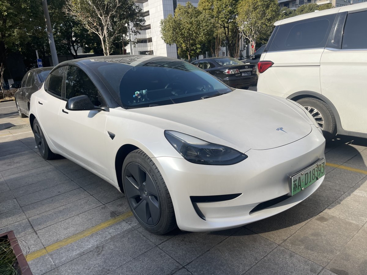 特斯拉 Model 3  2021款 標(biāo)準(zhǔn)續(xù)航后驅(qū)升級(jí)版 3D6圖片