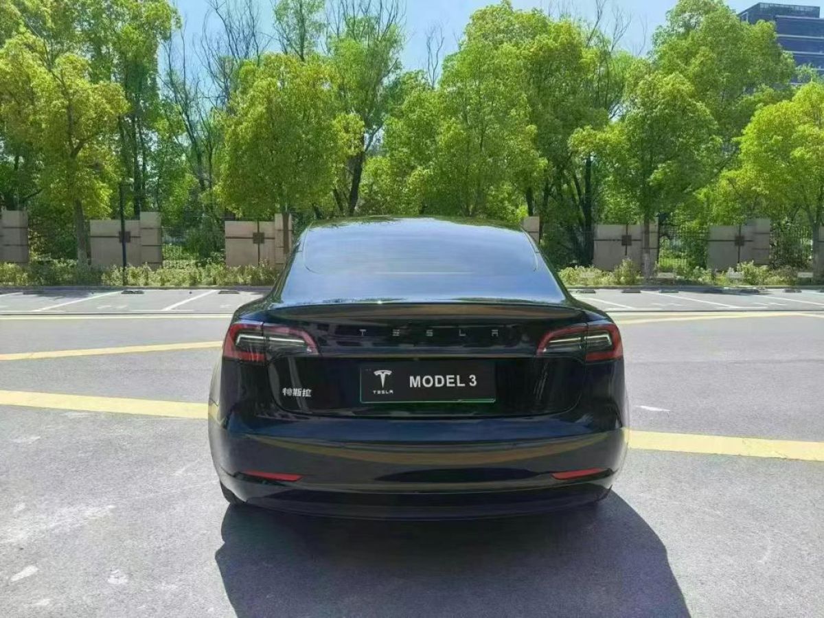 特斯拉 Model S  2023款 三電機(jī)全輪驅(qū)動(dòng) Plaid版圖片