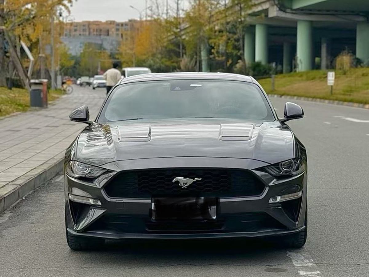 福特 Mustang  2019款 2.3L EcoBoost圖片