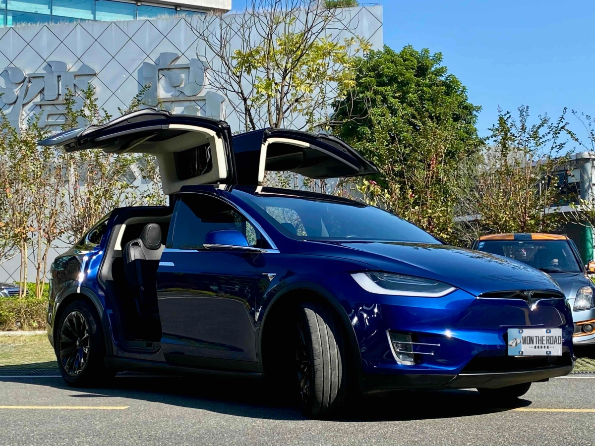 特斯拉 Model X  2017款 Model X 100D 長(zhǎng)續(xù)航版圖片