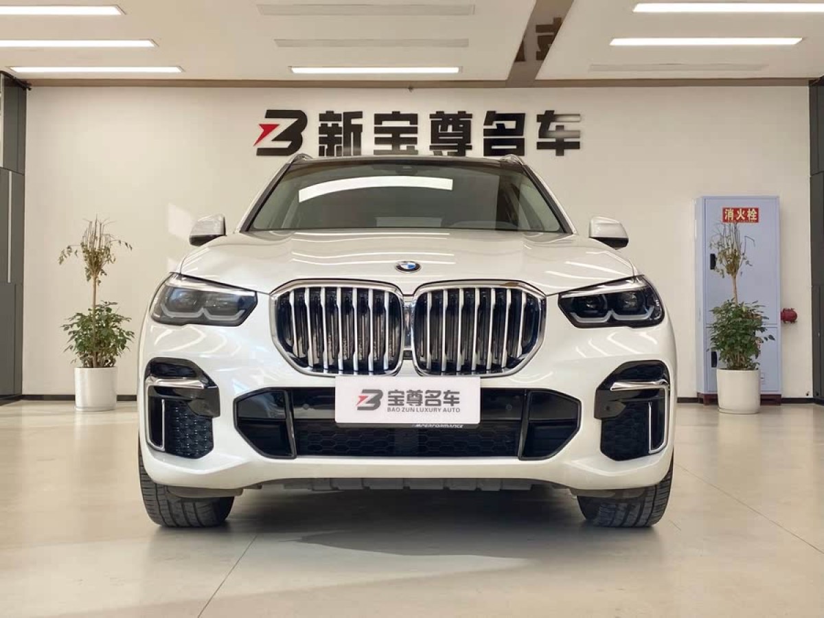 寶馬 寶馬X5  2022款 改款 xDrive 30Li M運(yùn)動(dòng)套裝圖片