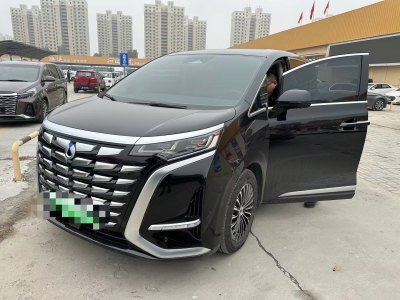 2023年6月 腾势 腾势D9 DM-i 1040 尊贵型图片