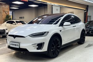 Model X 特斯拉 Model X 75D