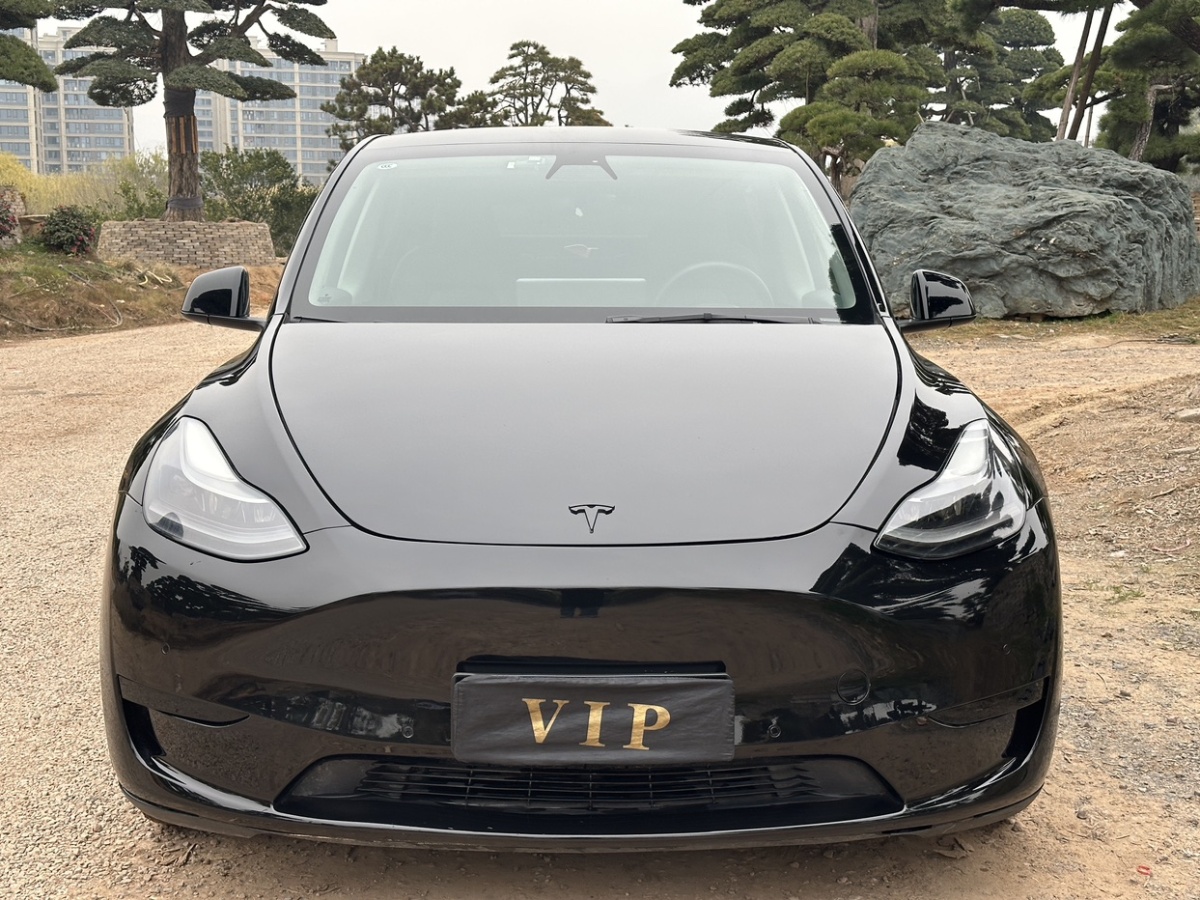 特斯拉 Model Y  2022款 后驅(qū)版圖片