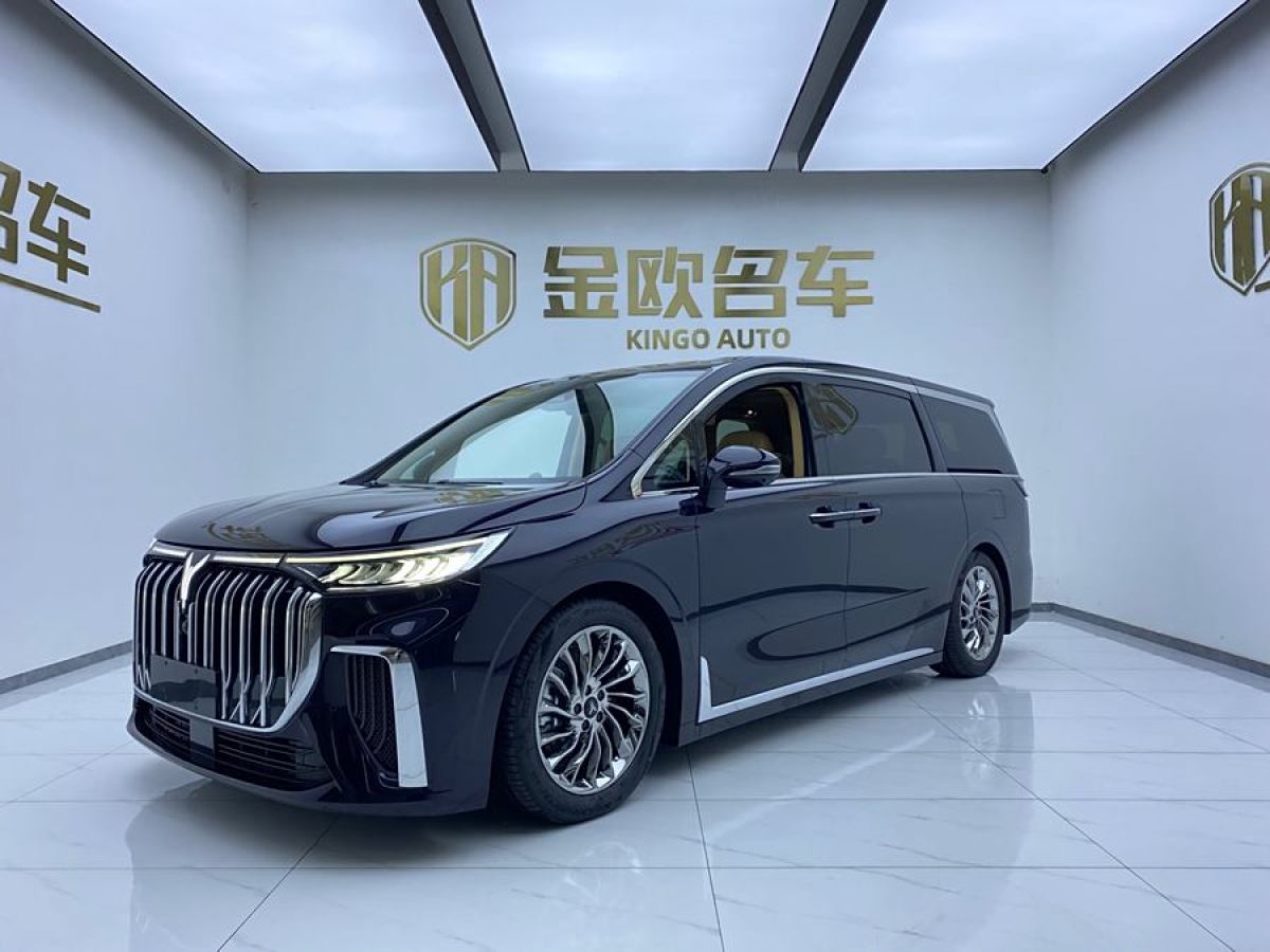 嵐圖 夢(mèng)想家  2024款 PHEV 超長(zhǎng)續(xù)航旗艦版圖片