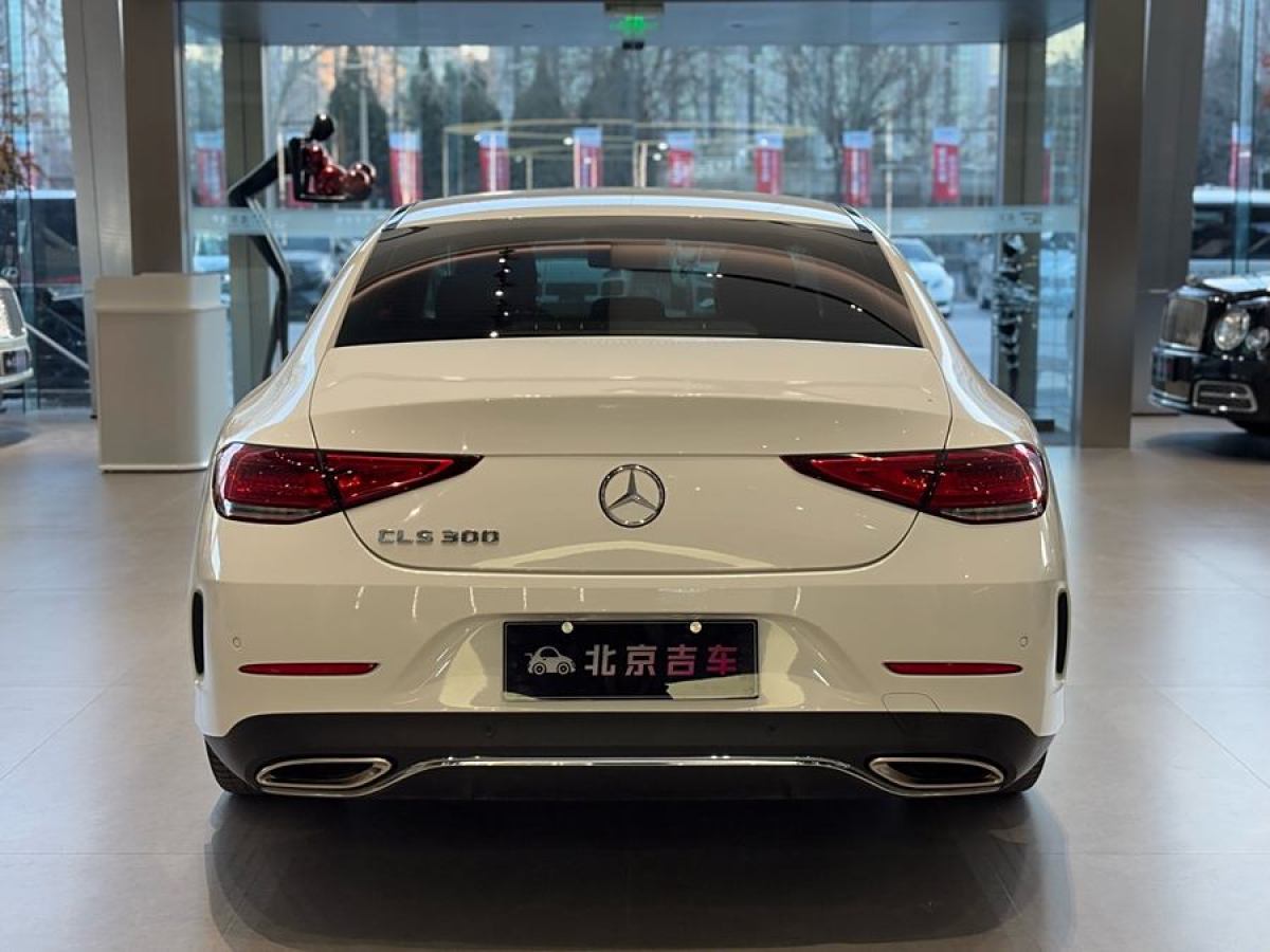 奔馳 奔馳CLS級  2020款 CLS 300 豪華型圖片