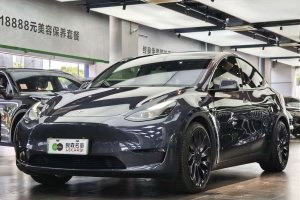Model Y 特斯拉 高性能全輪驅(qū)動(dòng)版