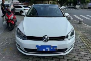 高爾夫 大眾 1.4TSI 豪華旅行版