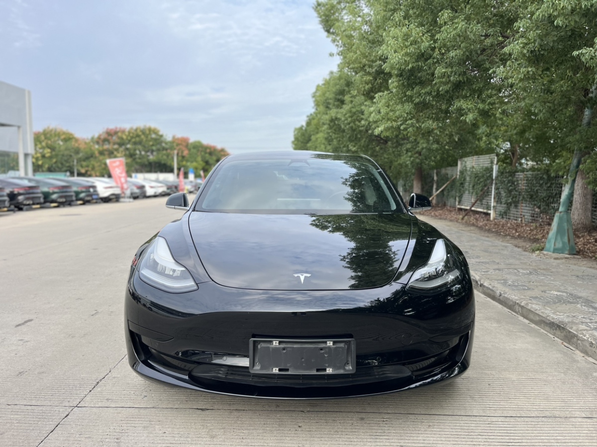 2020年03月特斯拉 Model 3  2019款 標(biāo)準(zhǔn)續(xù)航后驅(qū)升級(jí)版