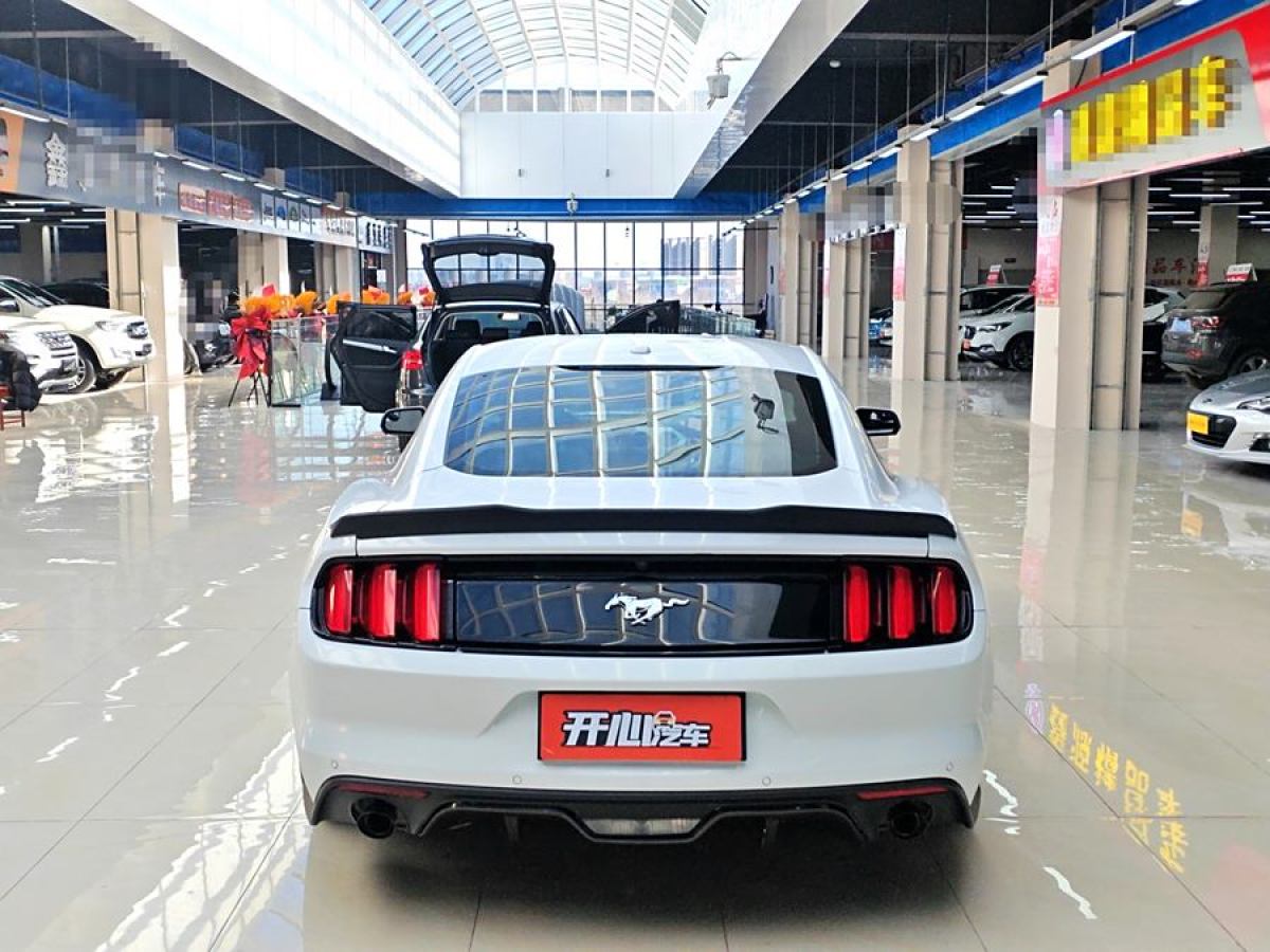 福特 Mustang  2016款 2.3T 性能版圖片