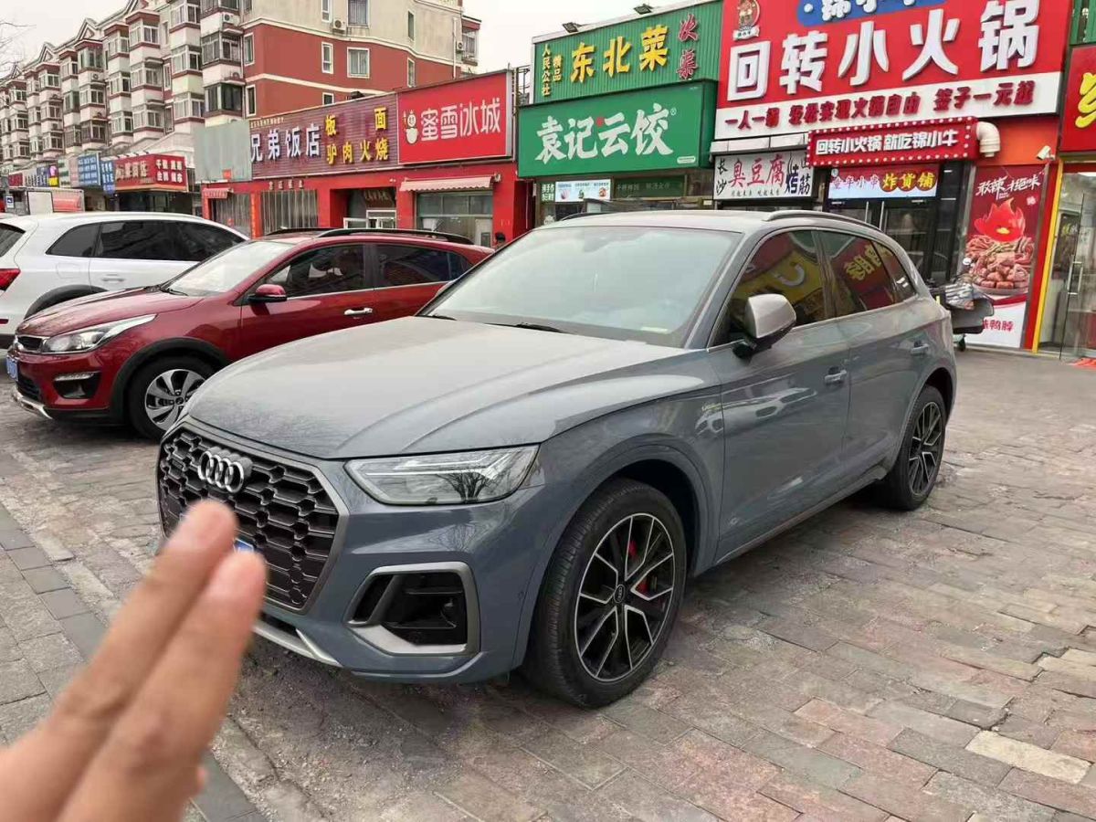 2022年1月奧迪 奧迪Q5 e-tron  2022款 40 e-tron 星耀型 機甲套裝