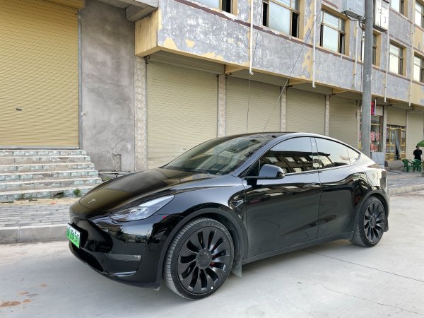 特斯拉 Model Y  2022款 Performance高性能全轮驱动版