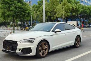 奥迪Q5 奥迪 40 TFSI 豪华型