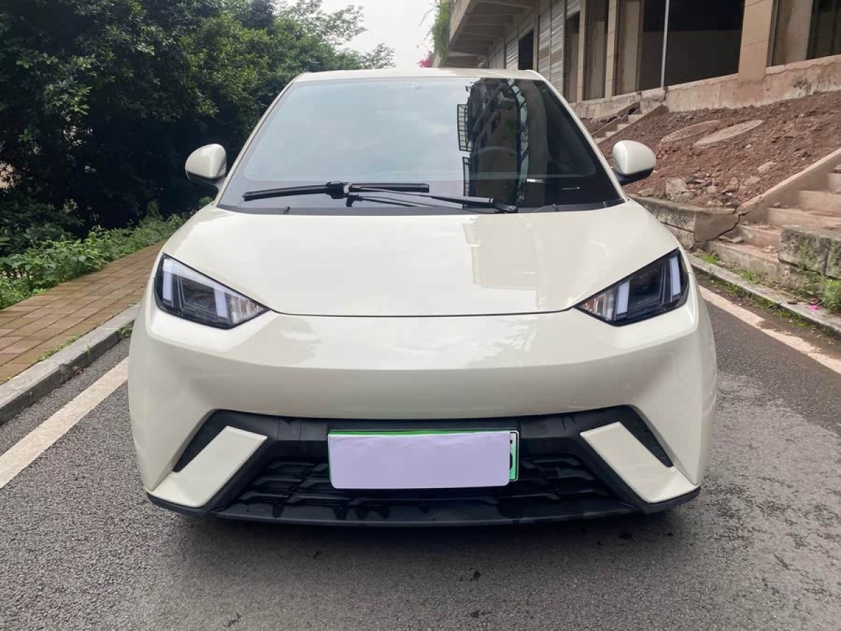 比亞迪 海鷗  2023款 自由版圖片