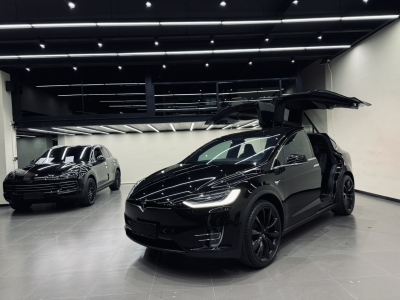 2019年4月 特斯拉 Model X Model X 100D 長續(xù)航版圖片