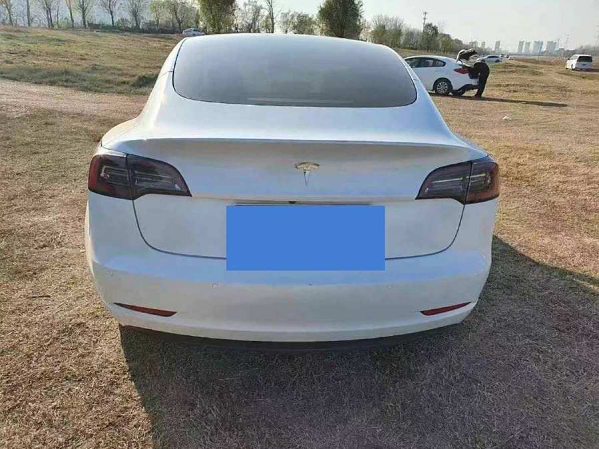 特斯拉 Model 3  2021款 改款 標(biāo)準(zhǔn)續(xù)航后驅(qū)升級(jí)版圖片