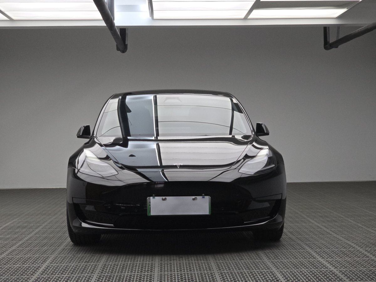 特斯拉 Model 3  2019款 標準續(xù)航后驅(qū)升級版圖片