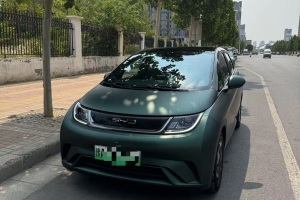 海豚 比亞迪 405km 時(shí)尚版