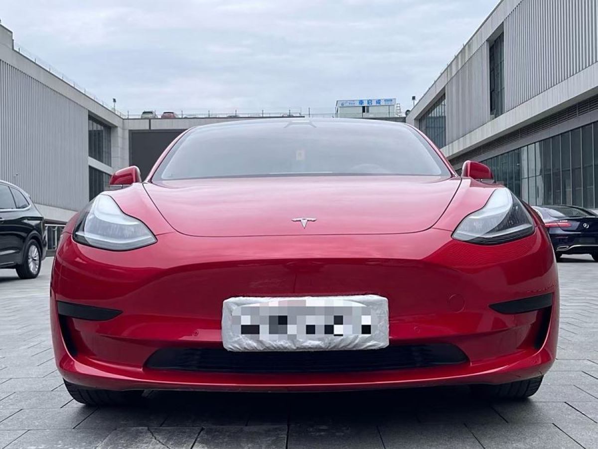 特斯拉 Model Y  2020款 改款 標準續(xù)航后驅(qū)升級版圖片